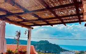 sole chiaro home